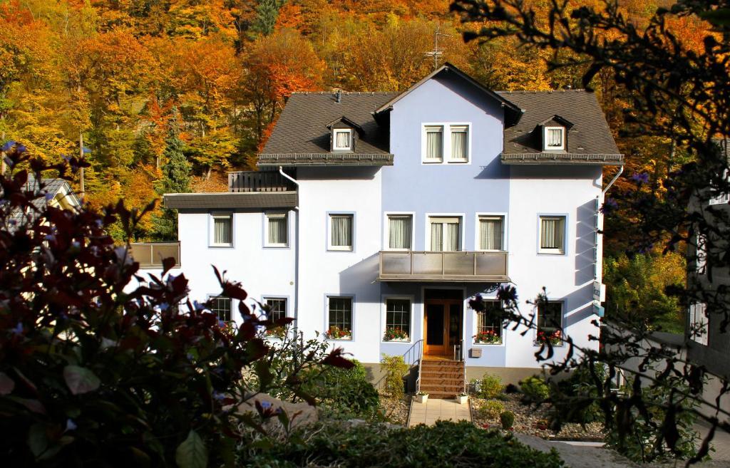 Hotel Ricarda Schlangenbad Exterior photo