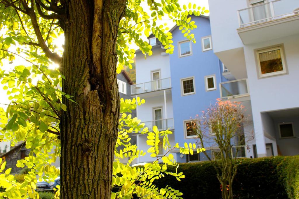Hotel Ricarda Schlangenbad Exterior photo